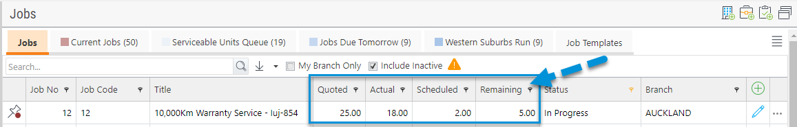 Custom Fields in TimeTrak Professional Grids